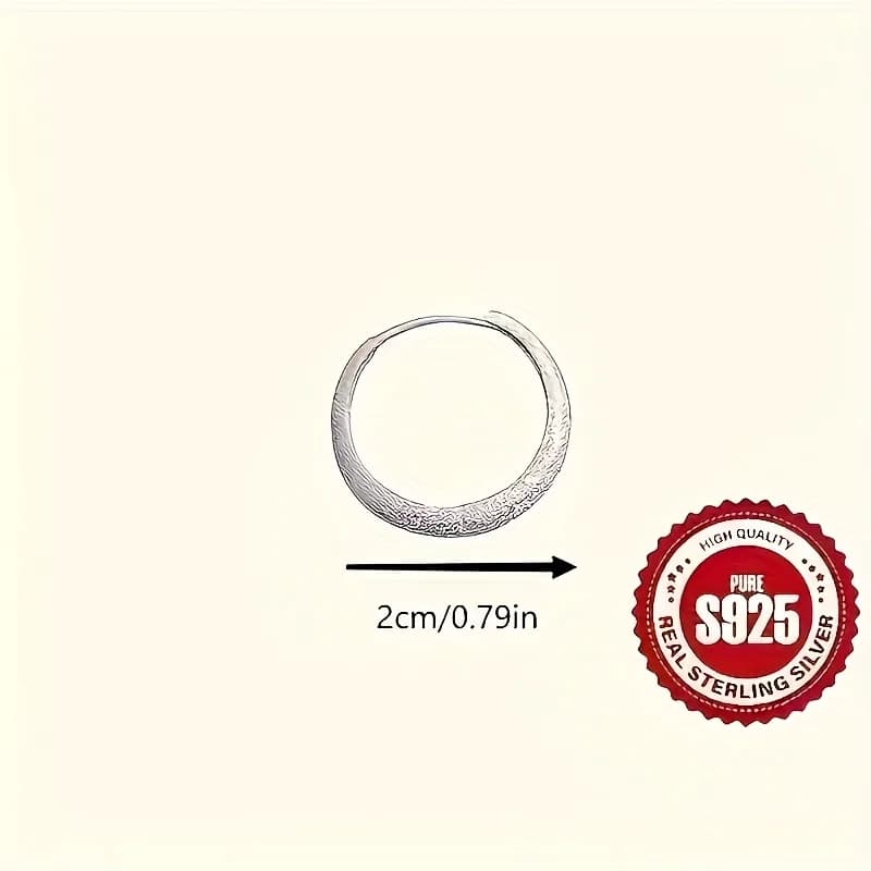 Boucles d'oreilles argentées pures pour femmes, boucles d'oreilles circulaires scintillantes givrées, cadeaux de bijoux pour la saint-valentin et la fête des mères — 4/7